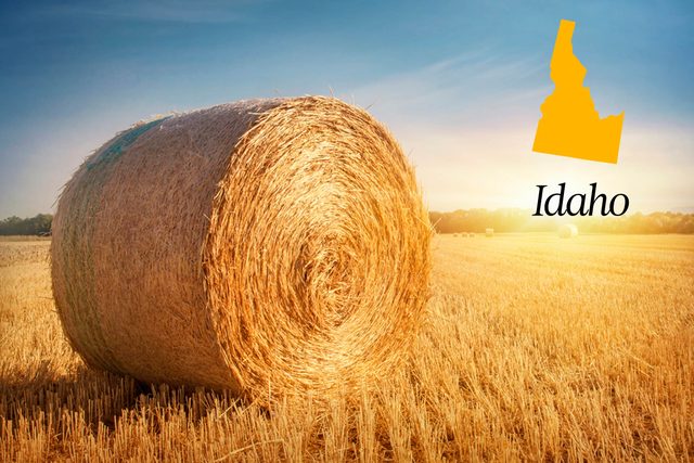 World-Records-in-Every-State-That-Will-Absolutely-Blow-Your-Mind