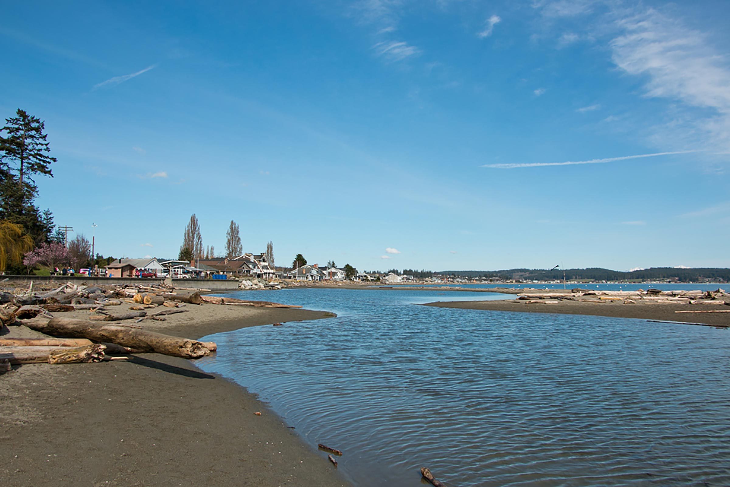 Double Bluff Beach, Whidbey Island, Washington