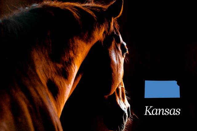 World-Records-in-Every-State-That-Will-Absolutely-Blow-Your-Mind