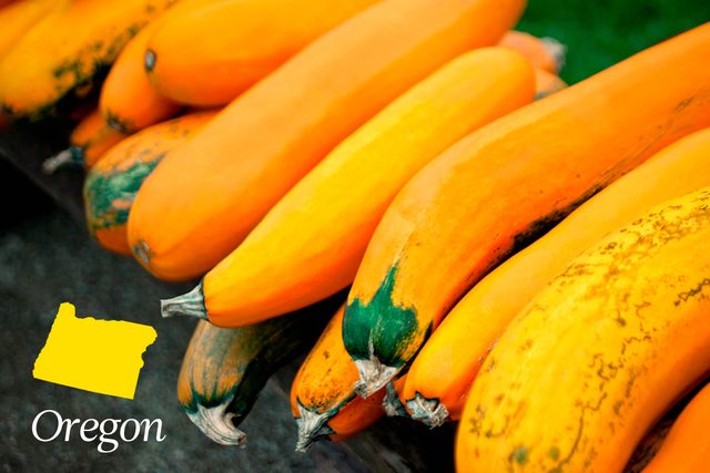 World-Records-in-Every-State-That-Will-Absolutely-Blow-Your-Mind