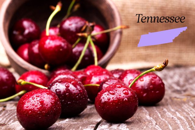 World-Records-in-Every-State-That-Will-Absolutely-Blow-Your-Mind