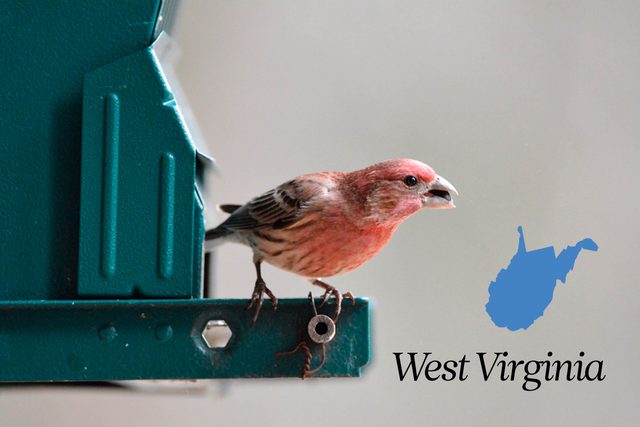 World-Records-in-Every-State-That-Will-Absolutely-Blow-Your-Mind