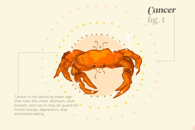 Things-Your-Zodiac-Says-About-Your-Health