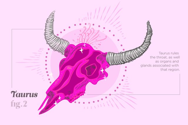 Things-Your-Zodiac-Says-About-Your-Health