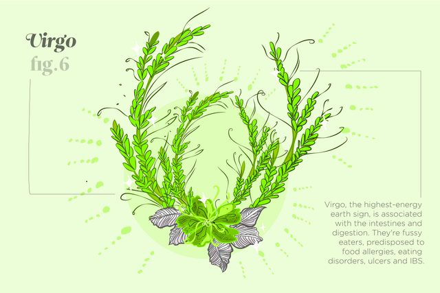 Things-Your-Zodiac-Says-About-Your-Health