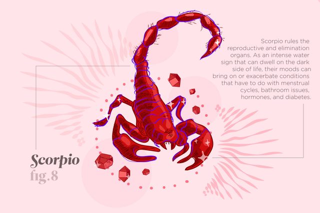 Things-Your-Zodiac-Says-About-Your-Health