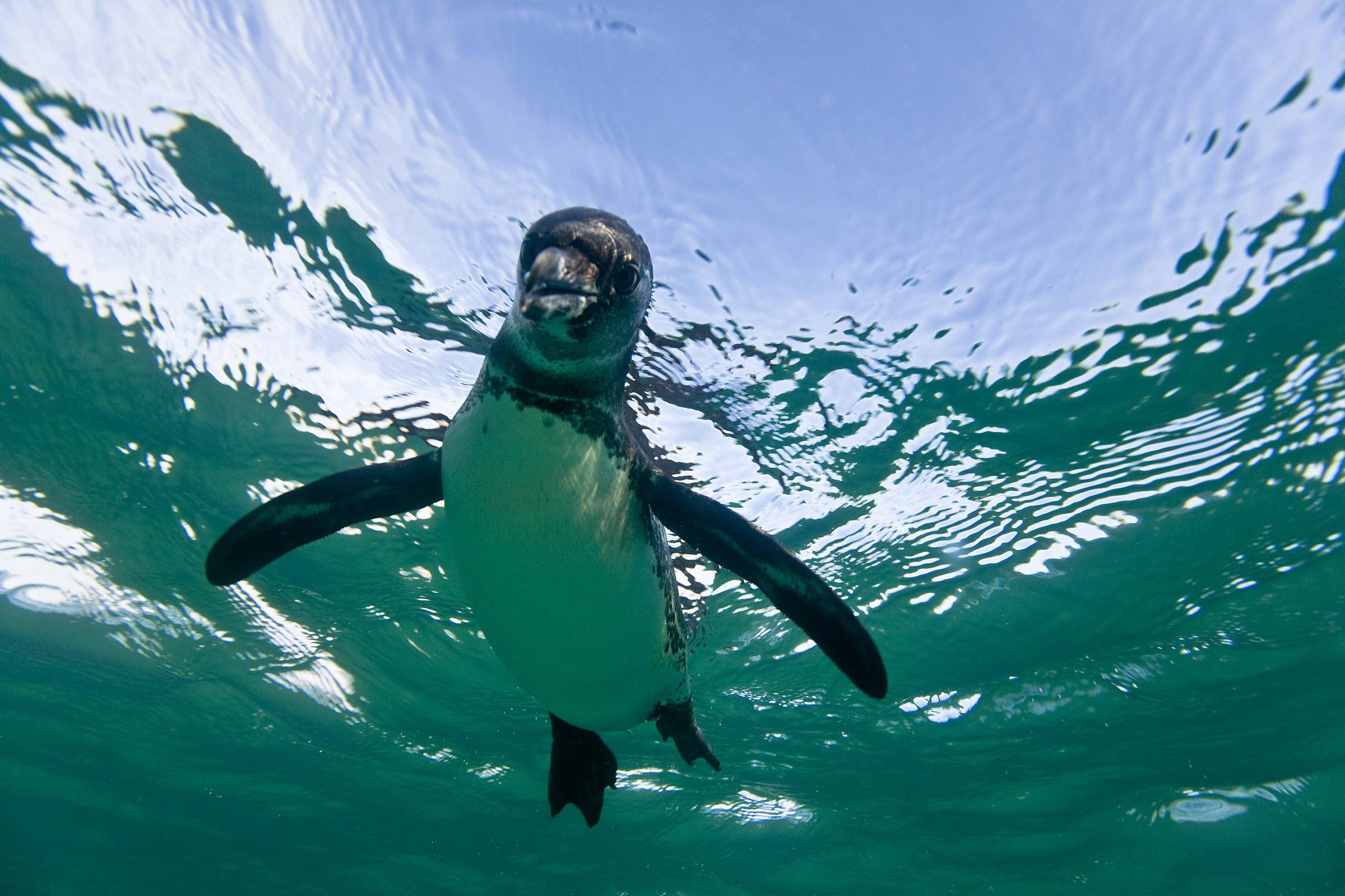 09-galapagos-Amazing-Vacation-Destinations-for-Families-that-Will-Thrill-Even-the-Most-Jaded-Teenager-1192976a-Michael-S.-NolanSplashdownREXShutterstock