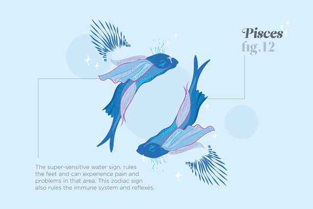Things-Your-Zodiac-Says-About-Your-Health