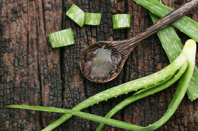 aloe-vera