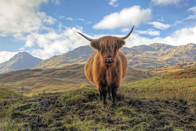 Trossachs