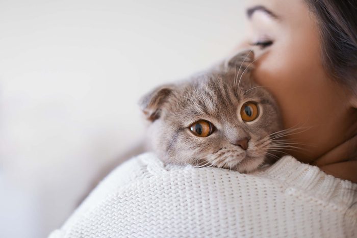 cat