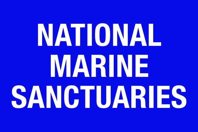 04-Jeopardy!-Categories-That-Stump-Everyone