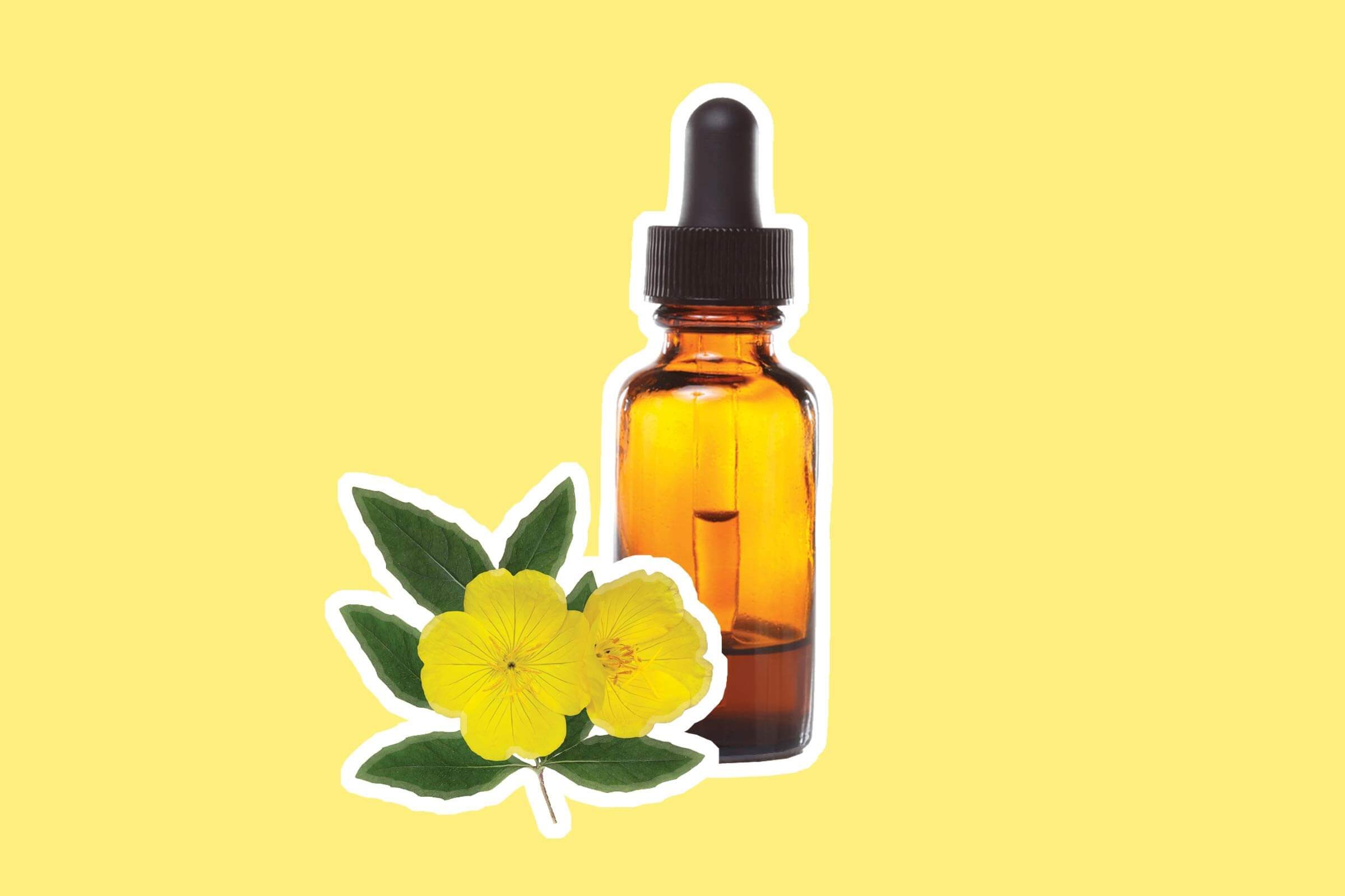 primrose oil