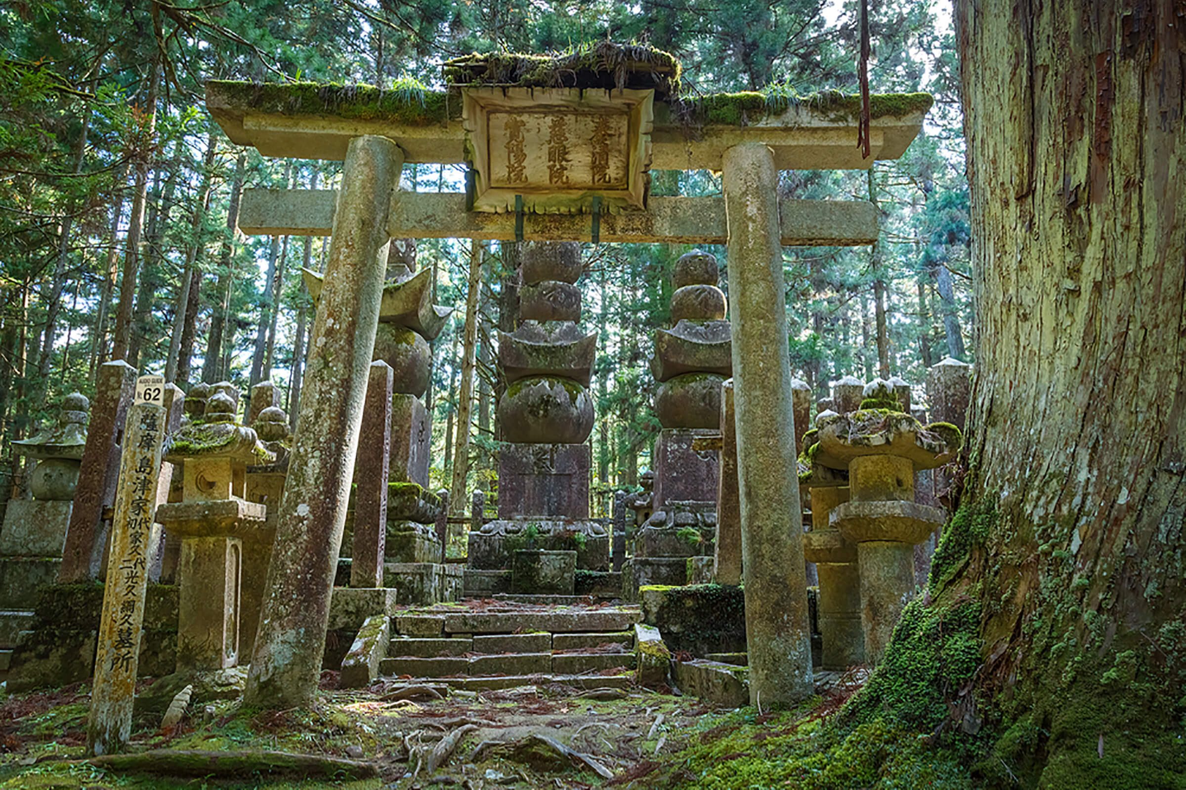 Mt-Koyasan