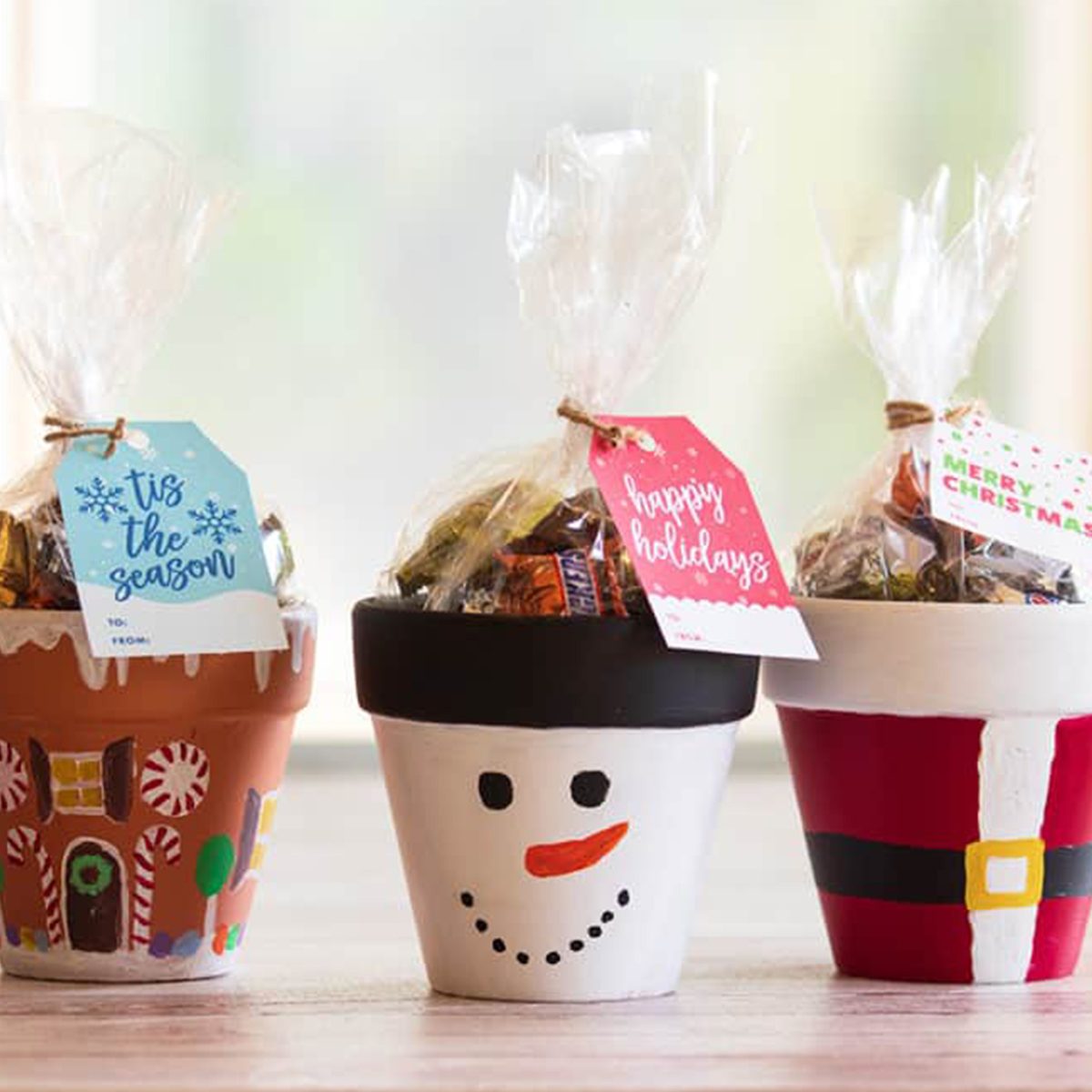 DIY Terra Cotta Christmas Pots gift