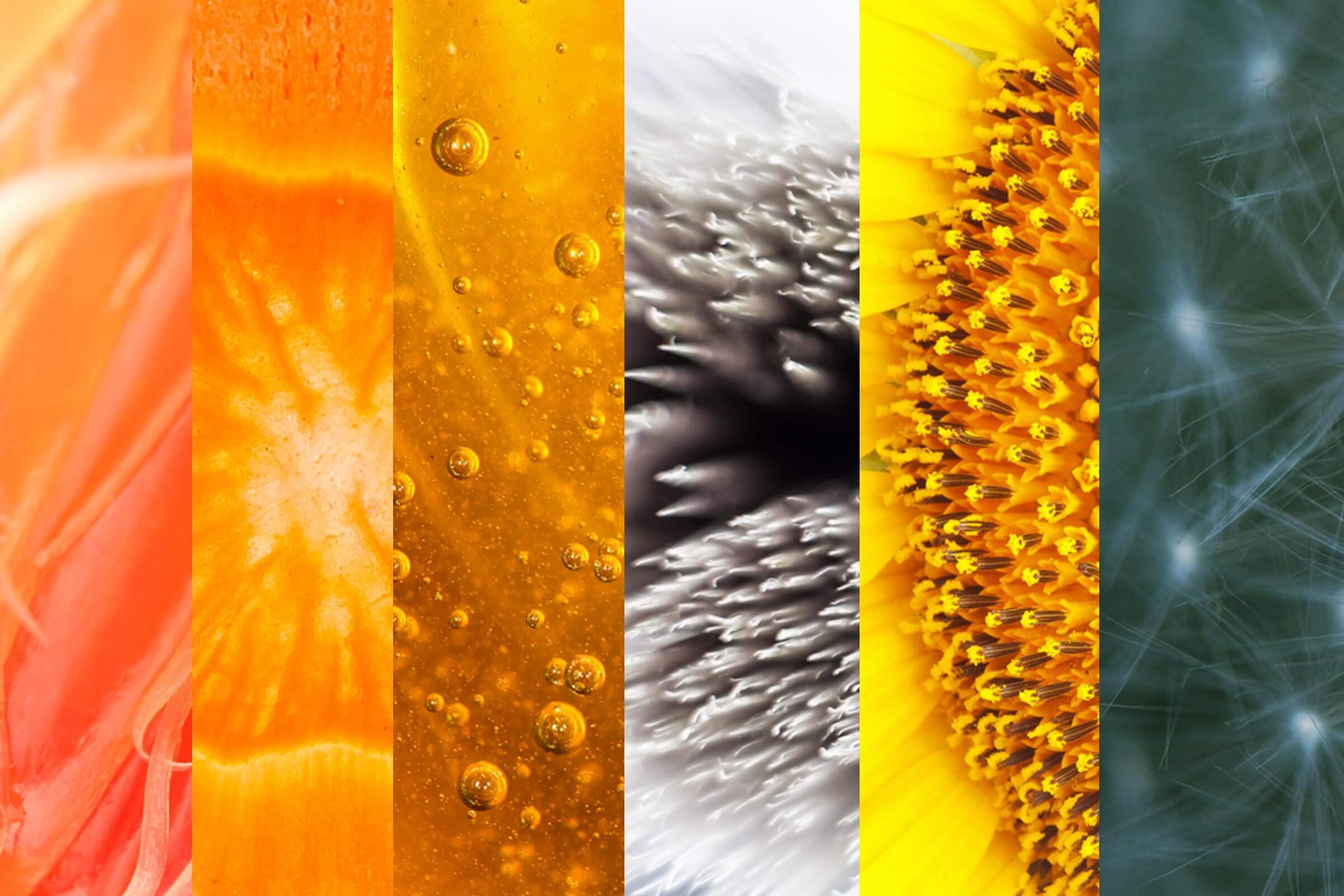 Can-You-Identify-Everyday-Objects-By-These-Close-Up-Pictures