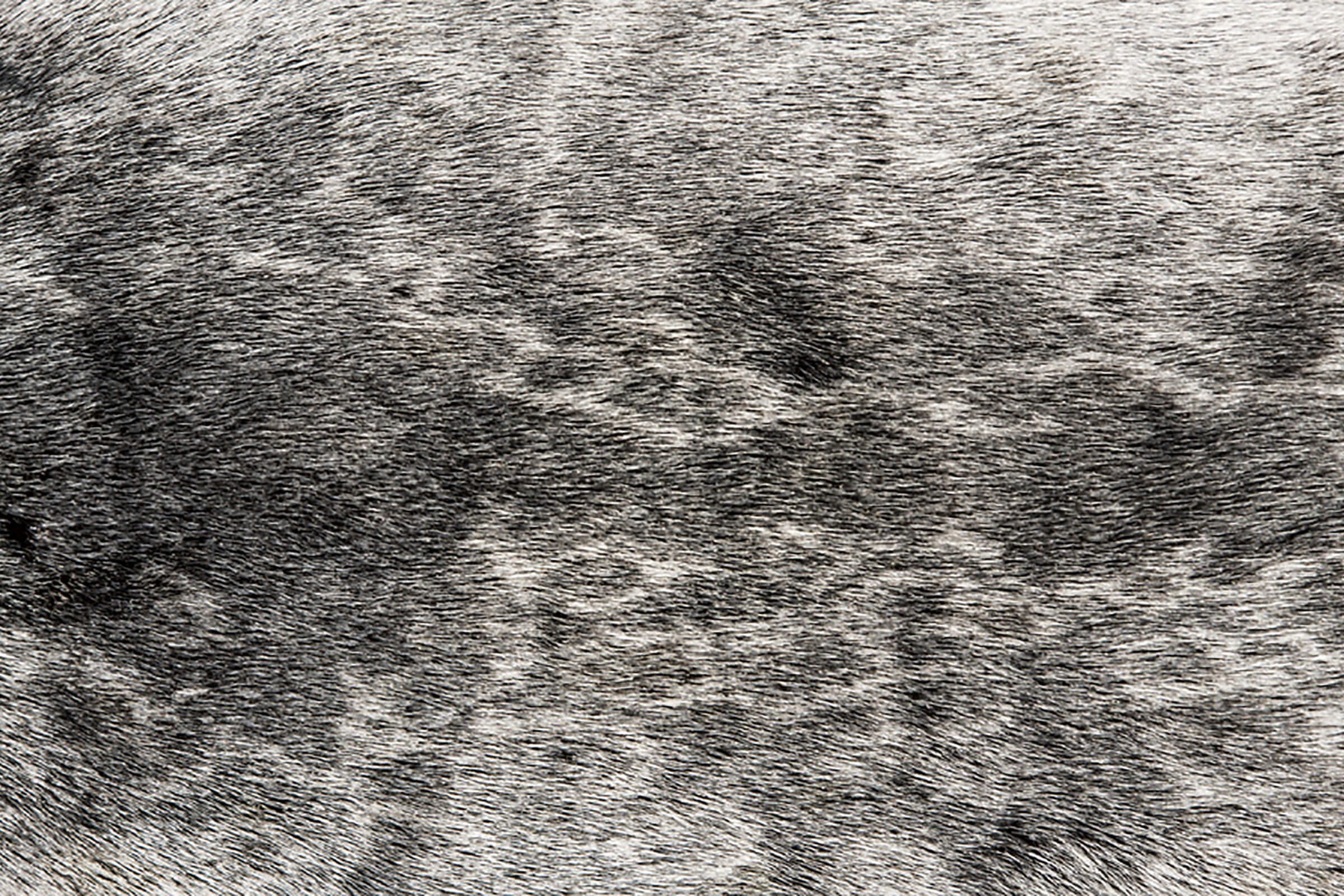 Seal-fur