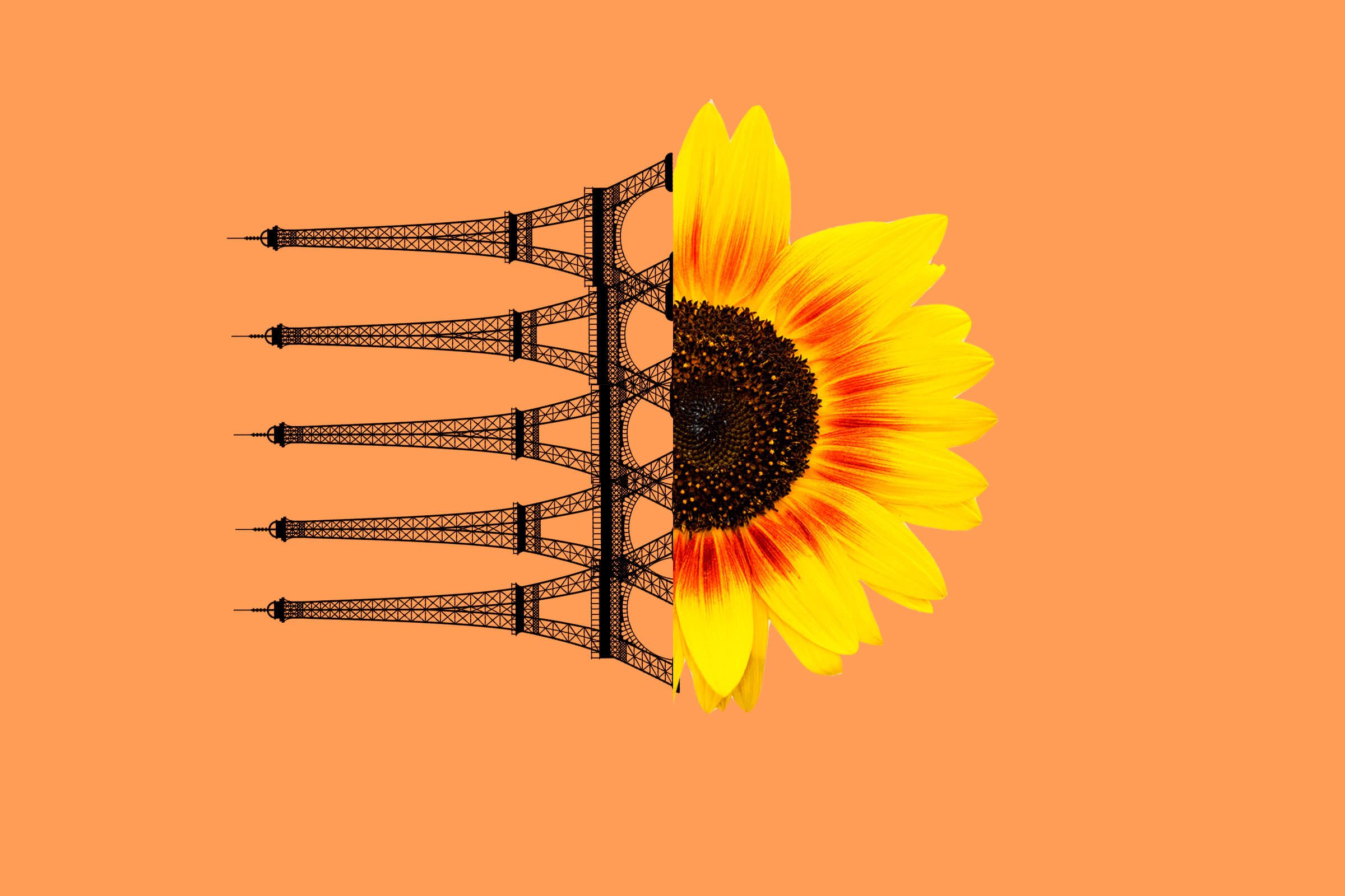 Eiffel-tower-sunflower