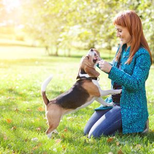 Girl playing with her beagle dog in autumn park