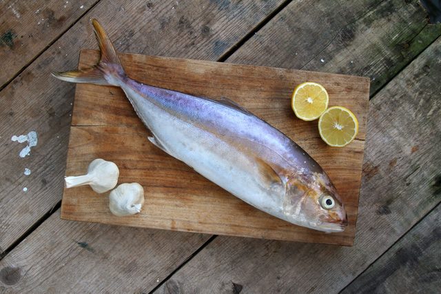 raw fish on a wooden background - Yellowtail -  Greater amberjack - gof