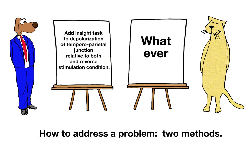 Business cartoon of business dog and business cat, each with a chart solving a problem. 'How to address a problem: two methods'.