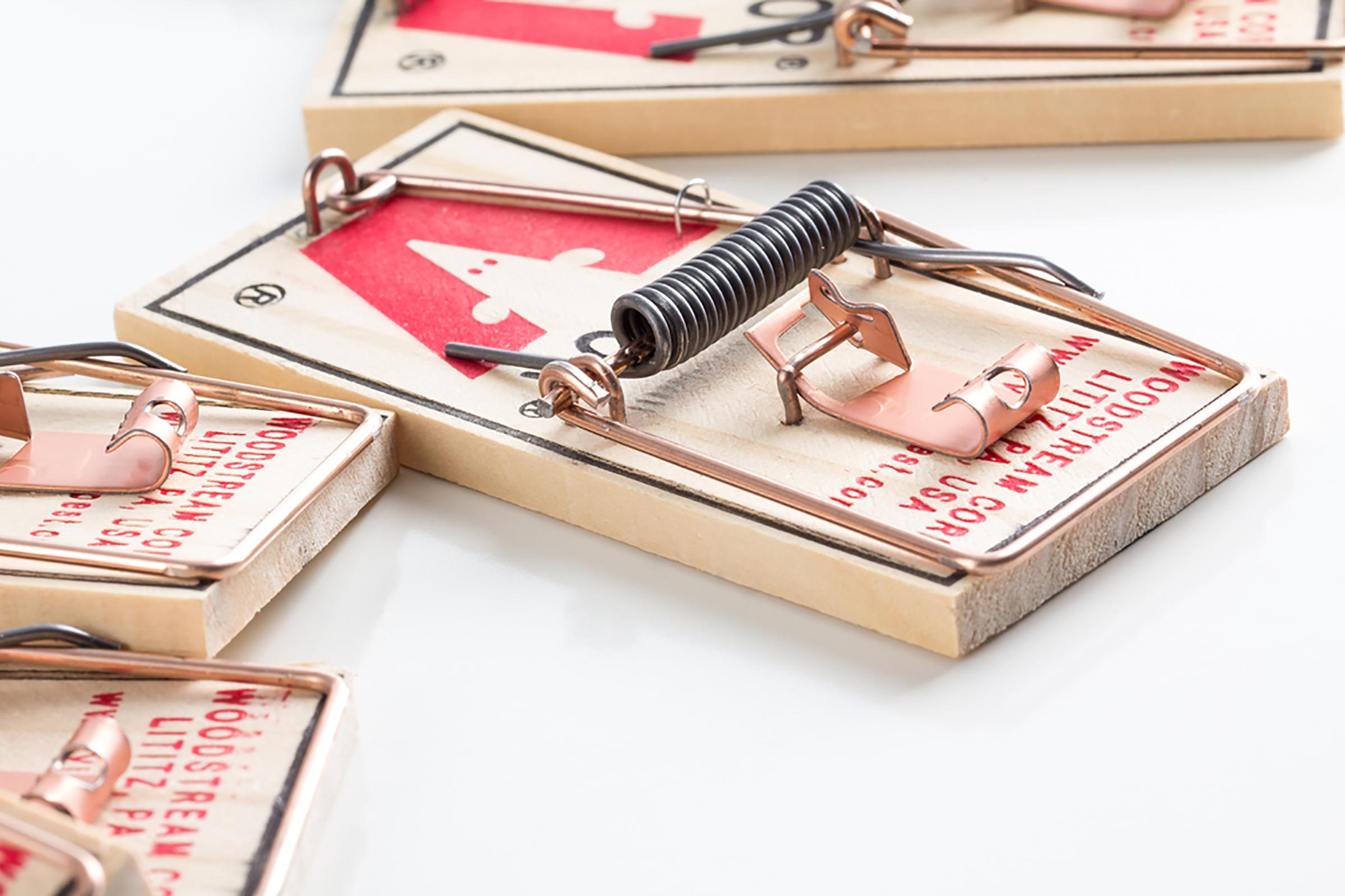 CARY, NC - OCTOBER 30, 015: Close up of newly unpackaged unused Woodtream mouse traps on a white reflective surface, with copy space