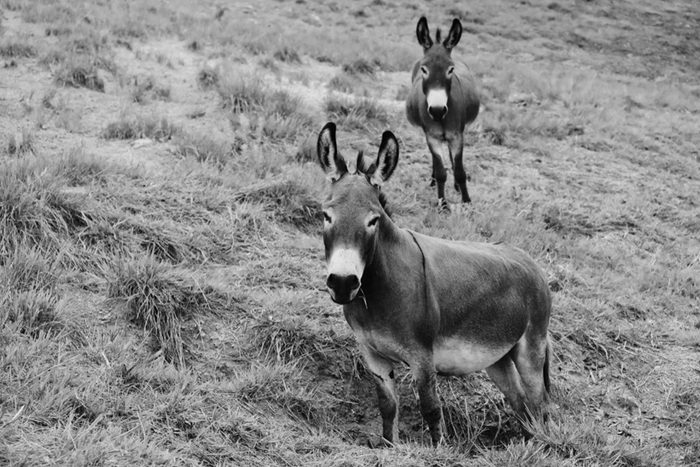 10 Funny Vintage Slang Words People Should Start Using Again