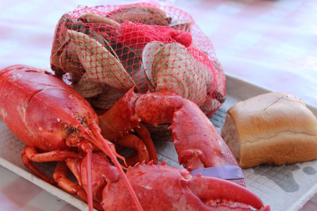 Maine Lobster Festival