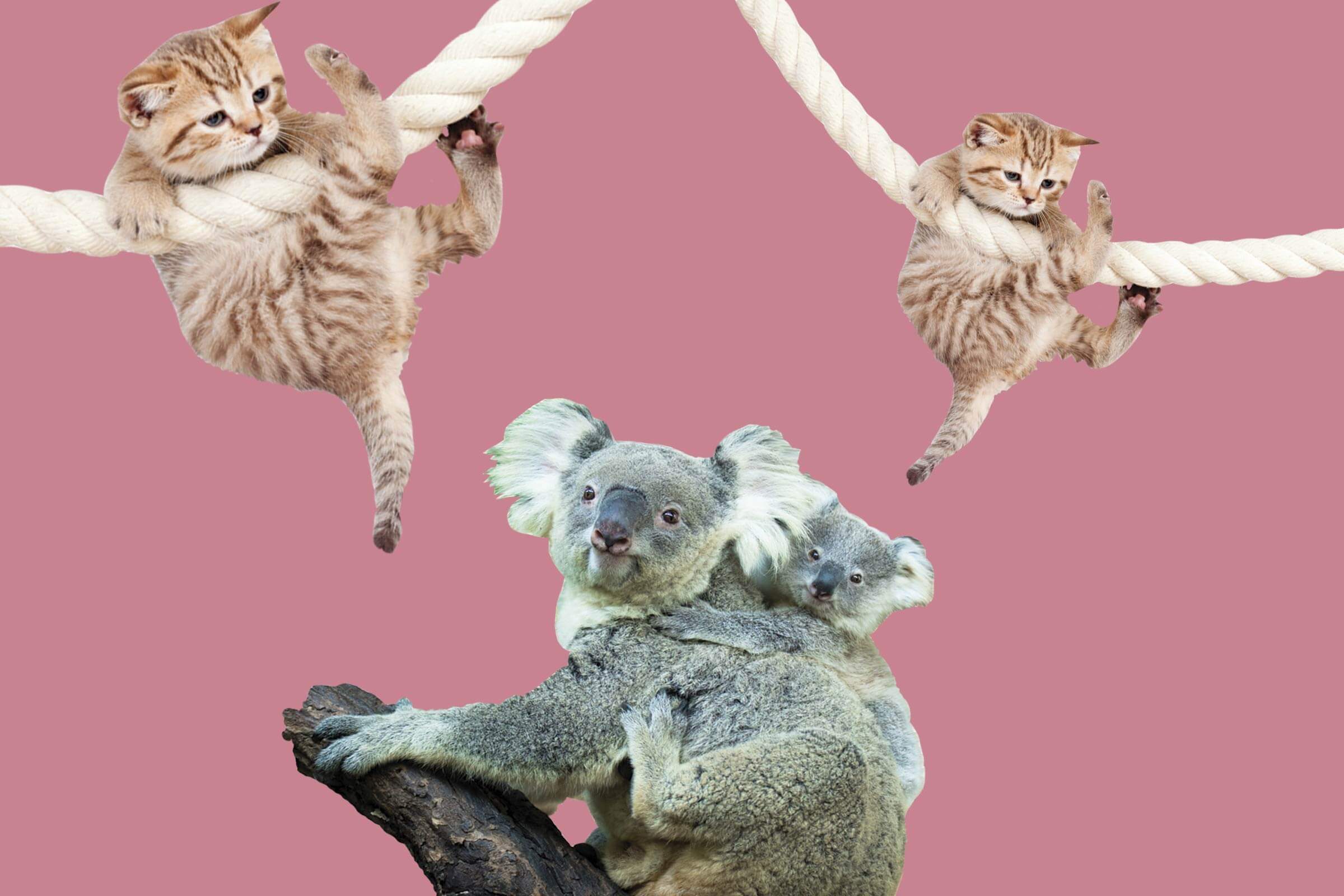 Secret-Signs-Youre-Actually-Insecure