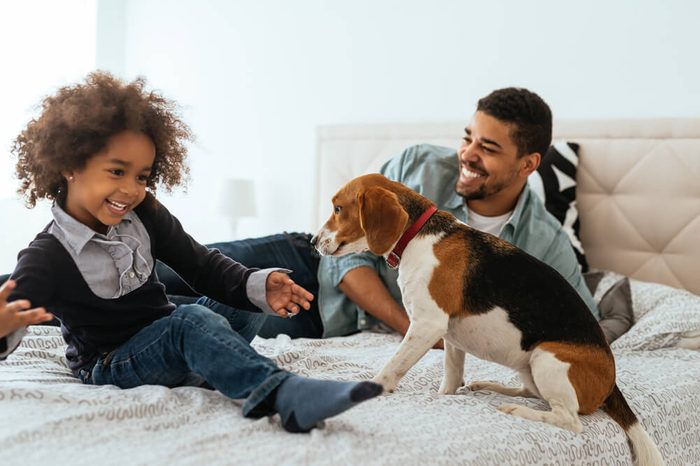 African american father and daughter spending time together with a dog on a bed.