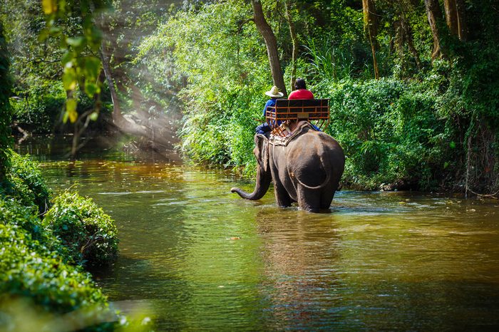 tourist riding on elephants Trekking in Thailand