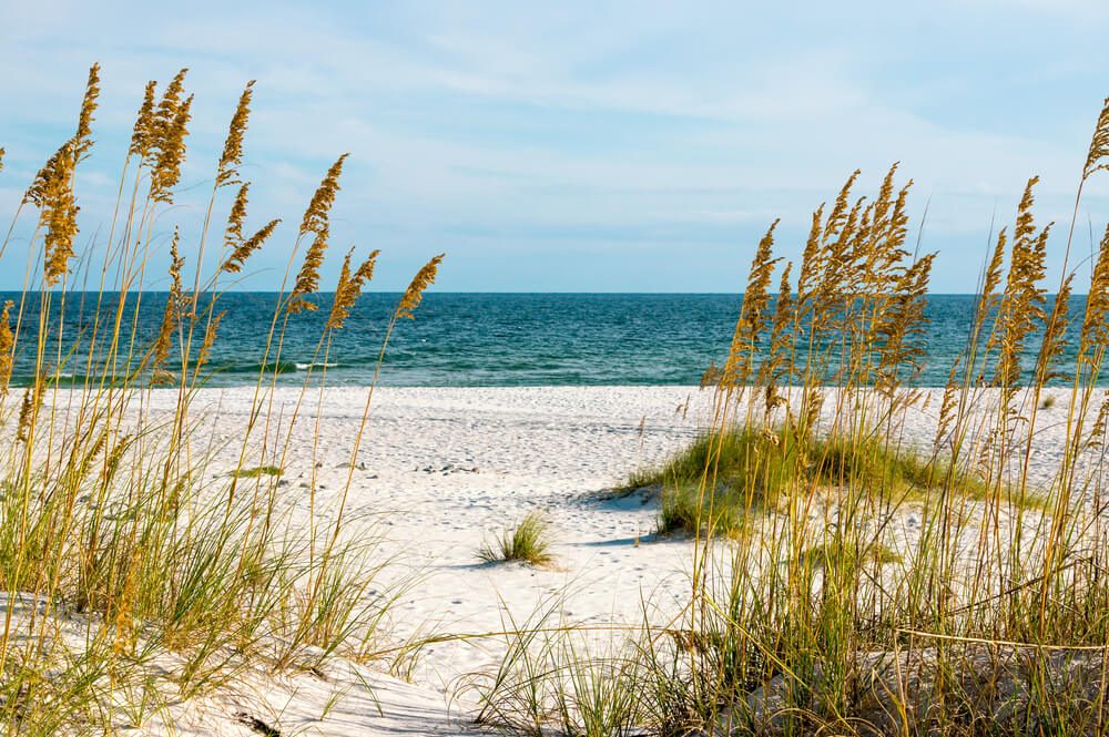 A scene on the Gulf Coast of Alabama.