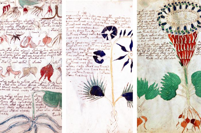 Voynich Manuscript