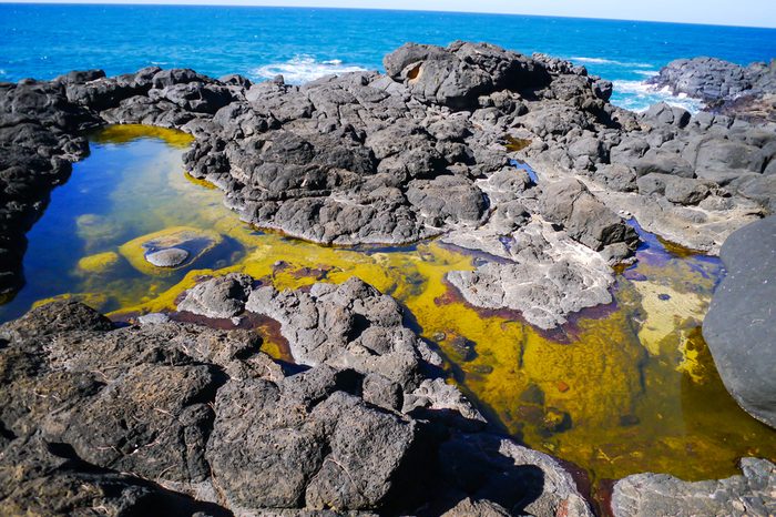  A pool at he Queen's bath, Kauai Hawaii