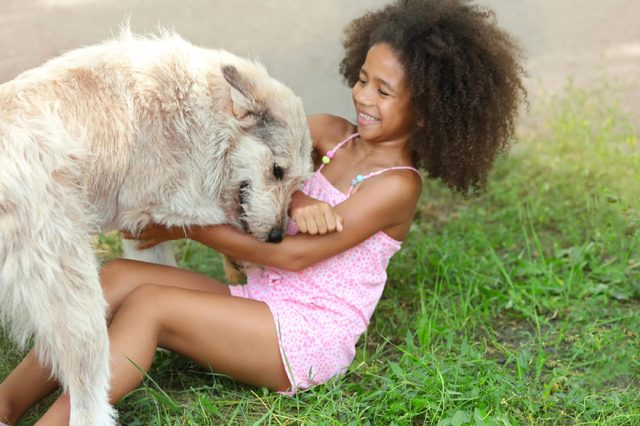 Cute African American girl playing with dog in park