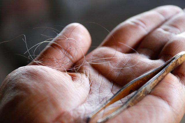 Gray hair  : The gray hair was pulled together on the palm  : Close up of white hair and iron clamp hair on the palms of men.