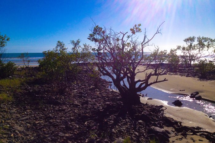 Beach of Cape Tribulation, Australia