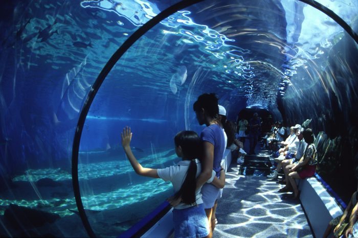 maui ocean center