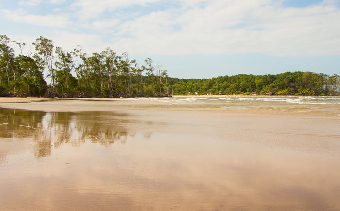 Reflection of mangrove trees in Barra Velha beach, by the Amazon river mouth, in Soure, Marajo island, Brazil.