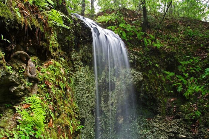 Falling Waters State Park in Northern Florida