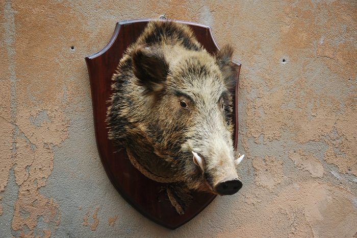 Views and building seen in lovely Orvieto Italy-boar's head on wall along street