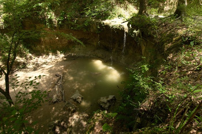 Clark Creek Natural Area, Tunica Hills, Mississippi