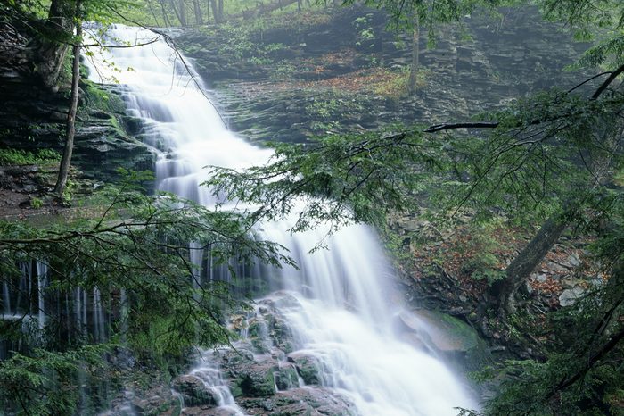 Rickett's Glen State Park Ganoga Waterfall