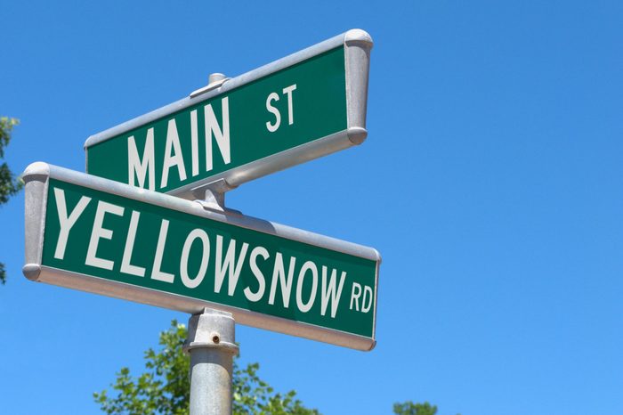 yellowsnow
