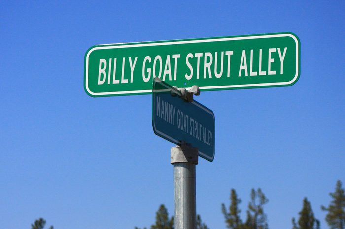 Billy Goat Strut Alley