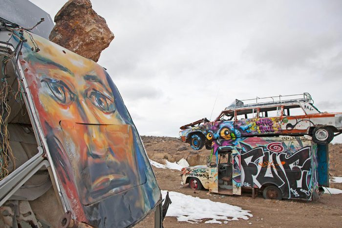 Nevada Car Forest