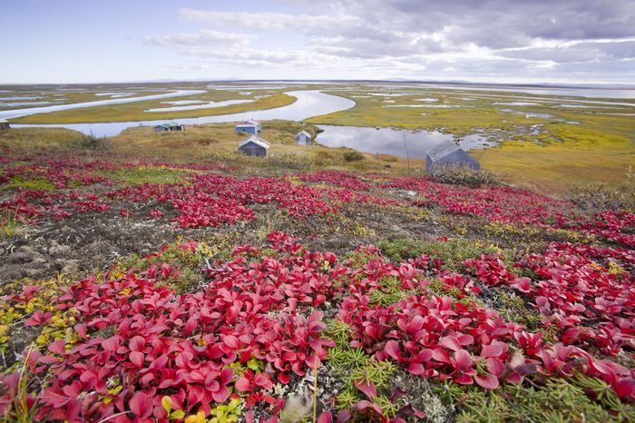 Inuit summer huting camp at the mouth of the sepentine river near Shishmaref, a tiny island between Alaska and Siberia in the Chukchi sea which is home to around 600 inuits or eskimos.