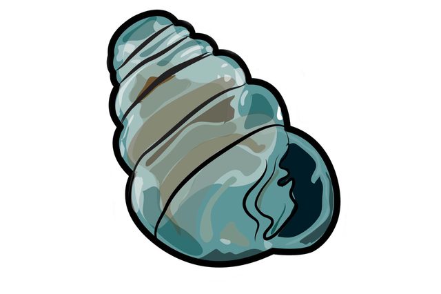 Transparent-shell-snail