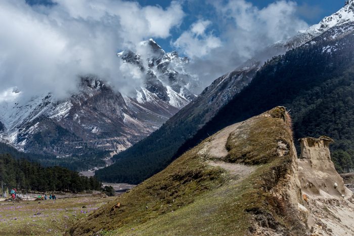 Yumthang valley, a popular tourist attraction and nature camp area on the eastern Himalayas, Sikkim, India