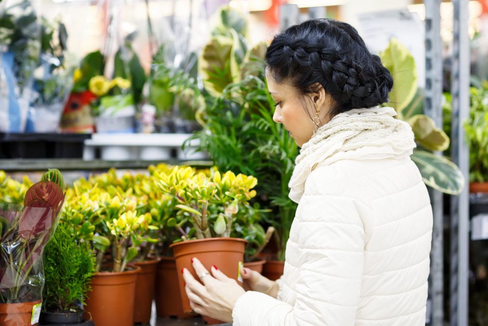 Woman chooses home flowers. Beauty Woman in Shopping Mall .